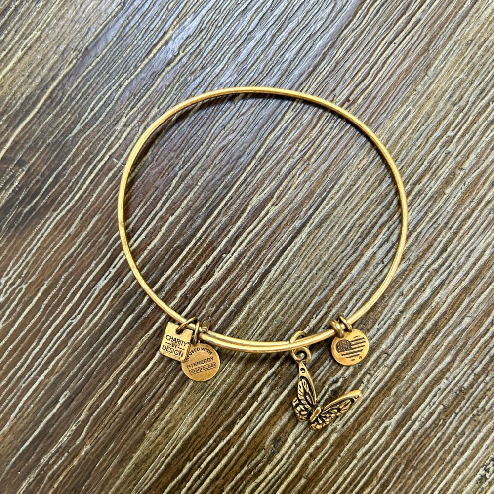 Alex and Ani bangle bracelet with butterfly charm